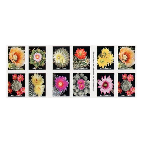 US 2019 Cactus Forever Stamps