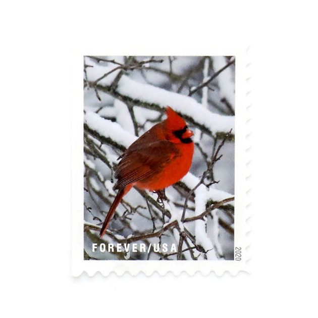 2020 US Winter Scenes Forever Postage Stamps