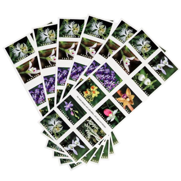 US 2021 Wild Orchids Framed Forever Stamps