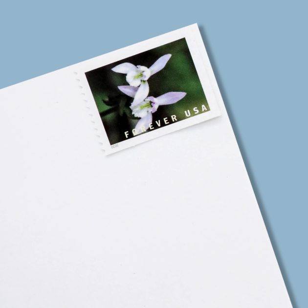 US 2021 Wild Orchids Framed Forever Stamps
