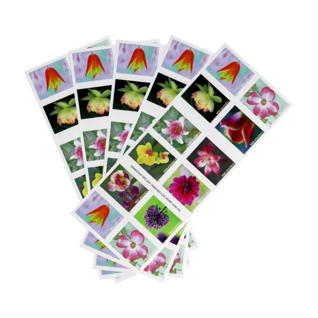 2021 US Garden Beauty Forever Postage Stamps