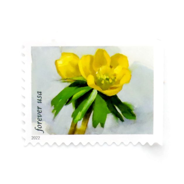 2022 US First-Class Forever Stamp - Snowy Beauty: Winter Aconite