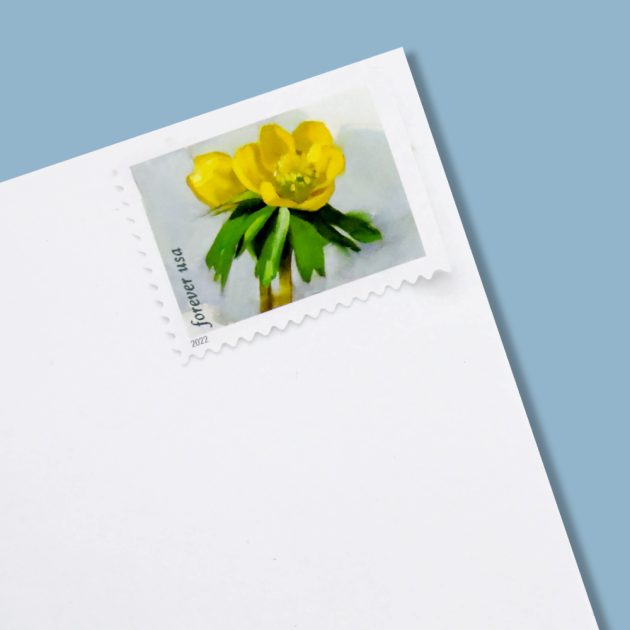 2022 US First-Class Forever Stamp - Snowy Beauty: Winter Aconite