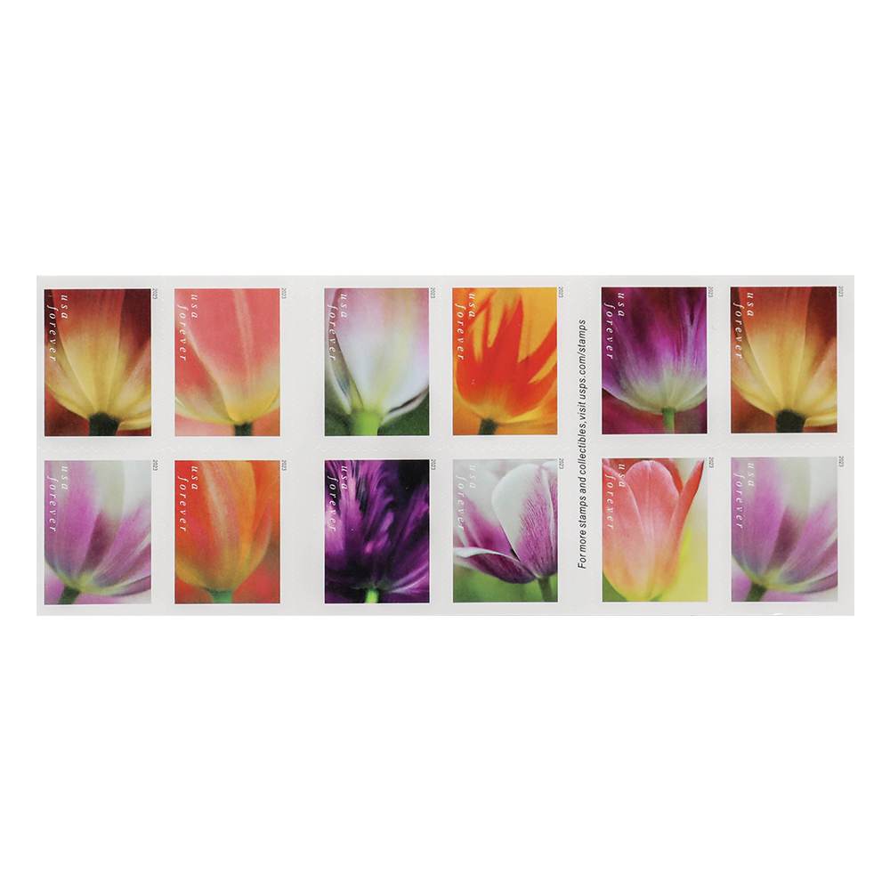 thumbnail image 2 of Mountain Flora Forever Stamps - US First Class Postage Stamps | Set Of 100 Flower Stamps 2 of 14